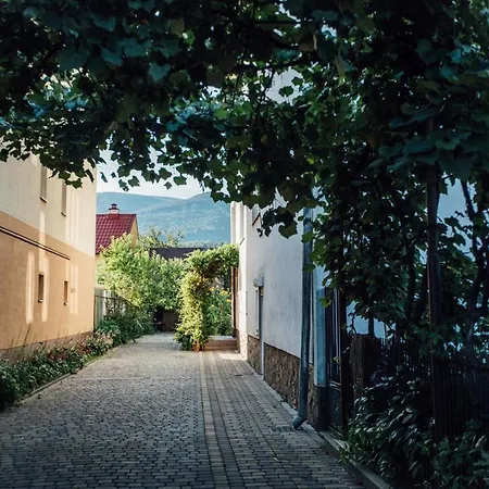 Gasthuis In Drachino *