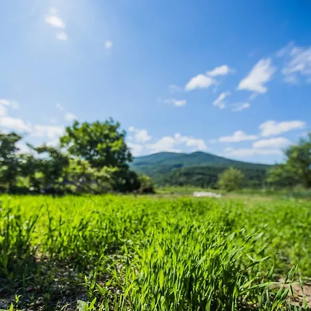 In Drachino Svaliava