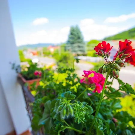 Gasthuis In Drachino