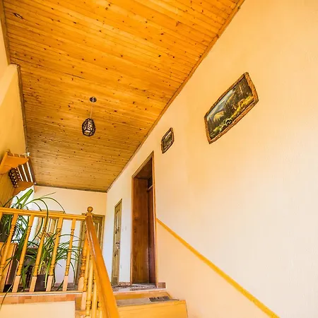 In Drachino Gasthuis *